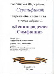 Ленинградская симфония 001